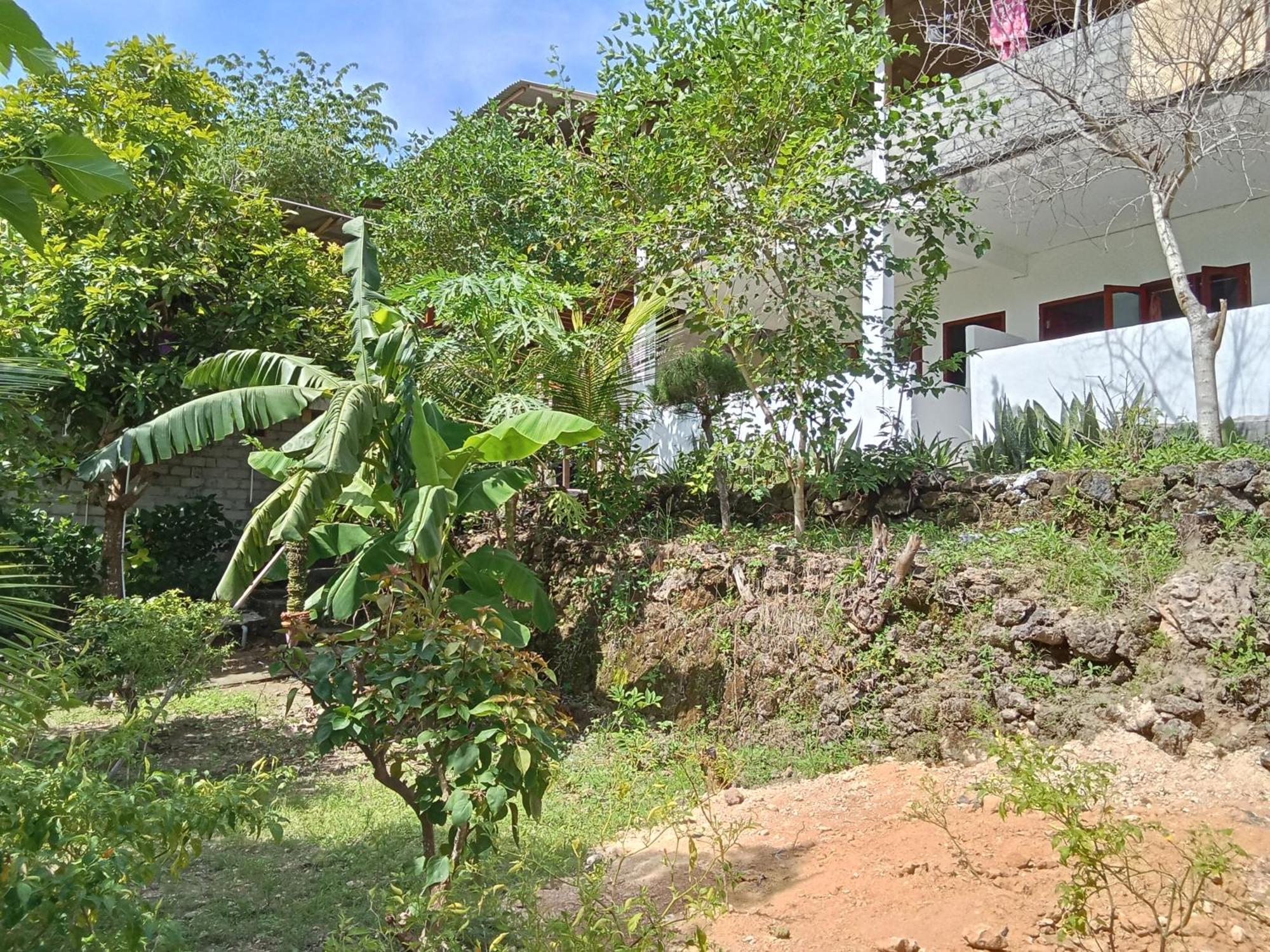 Feby'S Homestay Ekas Exterior foto